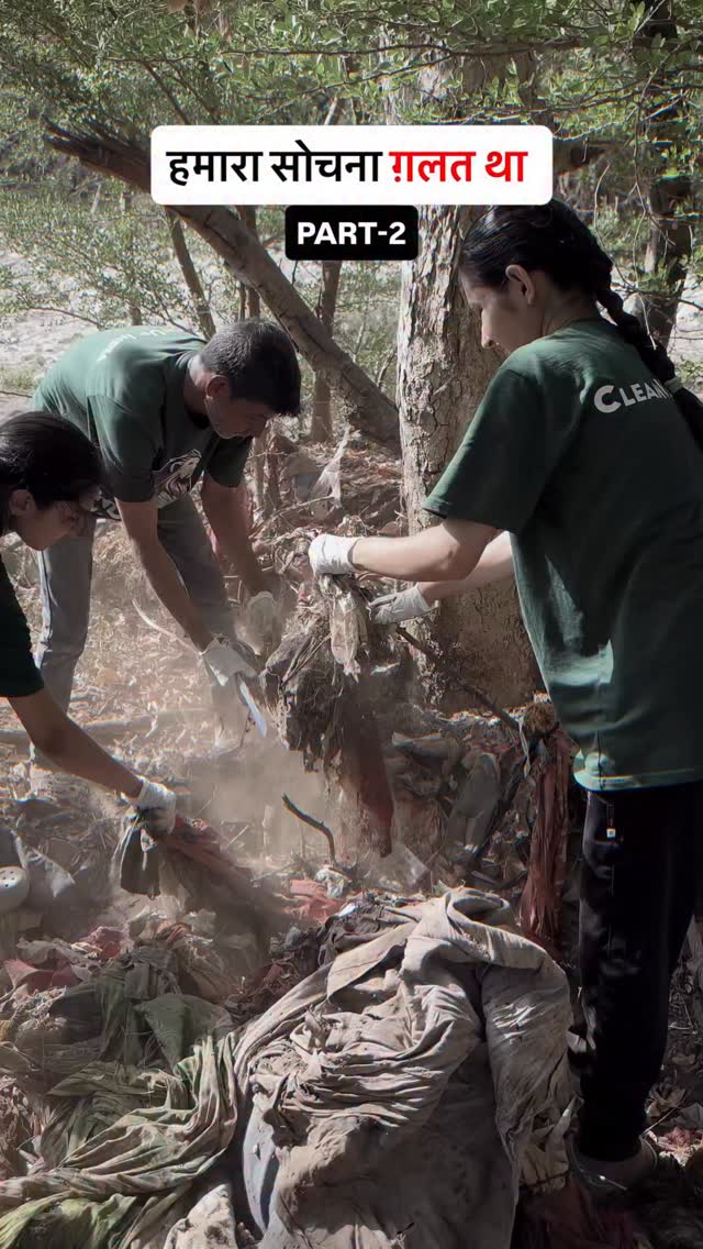 Forest Mission Drive